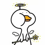 Elson Chin - @elson200318 - Instagram