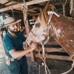 Elson Machado - @elsonmachado36 - Instagram
