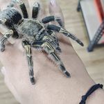 Elson Ng - @ng.elson05 - Instagram
