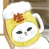 Elsonsu - @elsonsu987 - TikTok