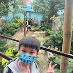 Elson Tan - @elson.tan - Instagram