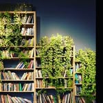Elspeth Bell - @bookplant10 - Instagram