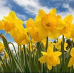 Elspeth Cameron - Facebook