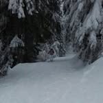 Elspeth Cross - @crosselspeth - Instagram
