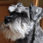 Elspeth Davis - @elspeth.a.davis - Instagram