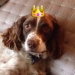 Elspeth Grant - @grantelspeth - Instagram