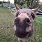 Beth Jones - @elspethjones50 - Instagram