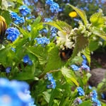 Elspeth Moore - @elspeth_moore_photography - Instagram