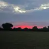elspeth - @elspeth.046 - TikTok