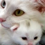 Elspeth Morton - Facebook