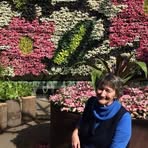 Elspeth Richards - Facebook