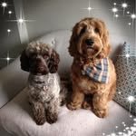 Elspeth Smith - @elspeth.smith.180 - Instagram