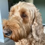 Elspeth Smith - @smith_elspeth - Instagram