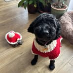 Elspeth Smith - Facebook