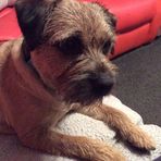 Elspeth Stewart - Facebook