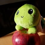 Elspeth Taylor - @eddie_the_happy_turtle - Instagram