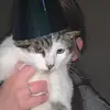 elspethtaylor__ - @elspethtaylor__ - TikTok