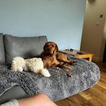 Elspeth Thompson - @elspeththompson - Instagram