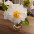 Elspeth Thompson - Facebook