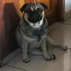 ELSY RAMIREZ - @elsy.ramirez62 - TikTok