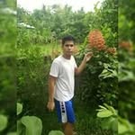 Elton Alexander Auman - @eltonalexanderauman - Instagram