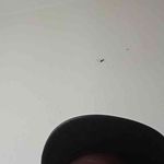 Elton Davis - @eltondavis995 - Instagram