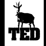 Elton dyer - @ted_success - Instagram