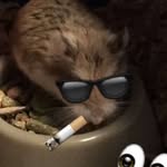 Elton Murray Grillo🐹 - @eltonthefreakingsavage - Instagram