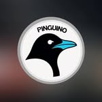 Elton Passos - @pinguino_montagem_e_hingenisac - Instagram