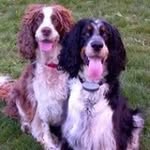 Elton S. Passos - @eltons.passos - Instagram