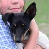 eltonsmallboi - @eltontheminifoxy - TikTok
