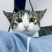 Elva Chen - Facebook