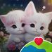 Elva Chen - Facebook