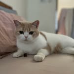 ElvaChen - @elvachen60 - Instagram