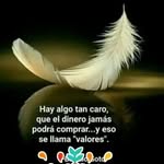 Elva Esquivel Cordero - @elvaesquivelcordero - Instagram
