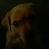 Elva Gonzalez - @elva.gonzalez - TikTok