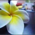 Elva Huang - @elva85 - Instagram