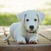Elva Lewis - Facebook