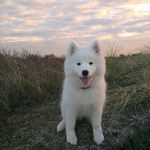 Elva Moran - @elva.moran.1238 - Instagram