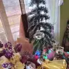 Elva Pacheco - @elva.pacheco95 - TikTok