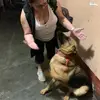 Elva Sandoval - @elva.sandoval6 - TikTok