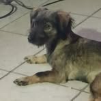 Elva Vela - Facebook