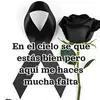 🖤🕊perez💔ortiz🕊🖤 - @elvia.lopez686 - TikTok