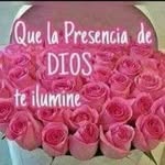 Elvia Paz - @paz.elvia - Instagram