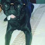 elvia quintero - @elviaquintero3942 - Instagram