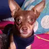 Elvia Rios - @elvia.rios33 - TikTok