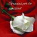 Elvia Roque - Facebook