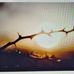 Elvie Mendoza Johnson - Facebook