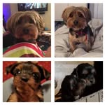Elvie1 - @elviesmith08 - Instagram