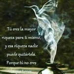 Elvin Castro - @elvincastro13 - Instagram
